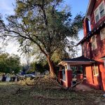 Preparing Your Trees for Summer Storms